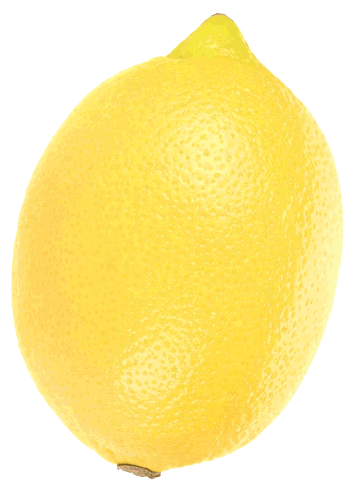 image centered