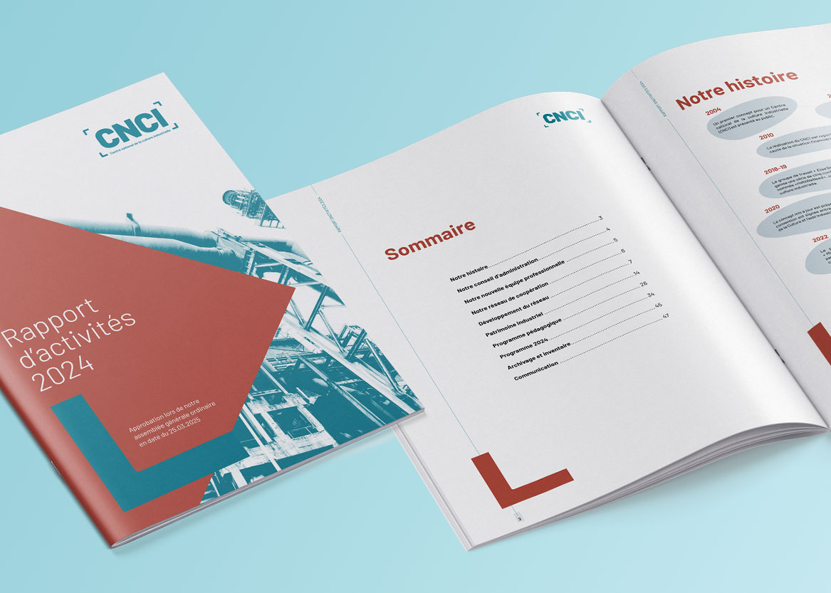 CNCI – Rapport d&rsquo;activités