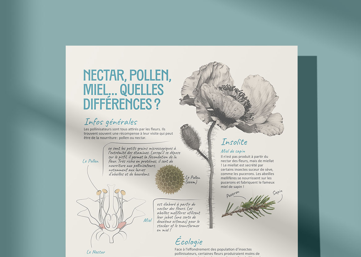 Édition d&rsquo;un guide naturaliste – POLYNATURE